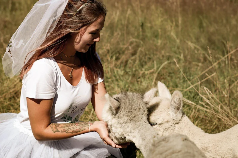 Junggesellenabschied mit Alpakas in Dortmund