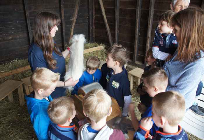 Alpaka Kindergeburtstag in Dortmund