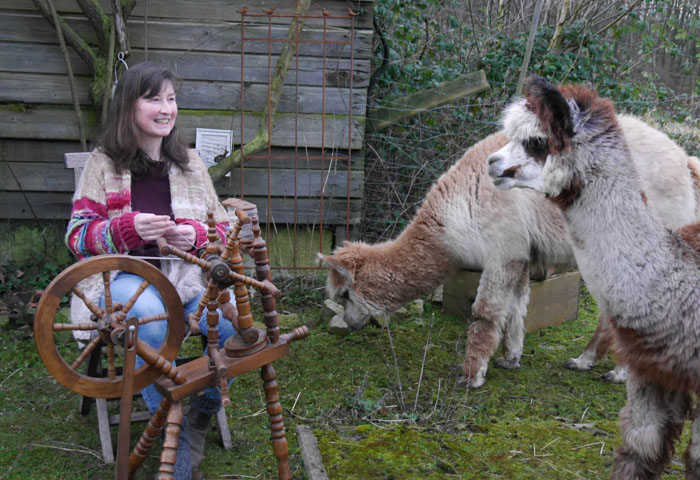 Alpaka Wolle spinnen